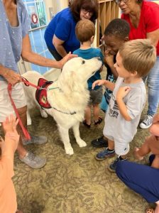 service dogs at TLC